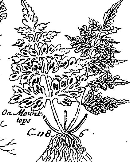 064/064340010201120_1.png