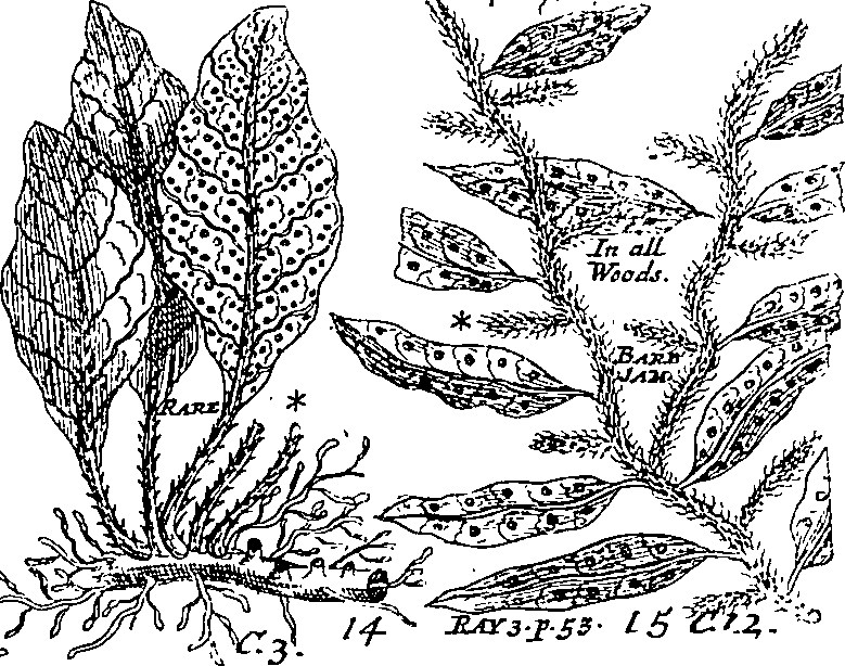 064/064340010201130_0.png