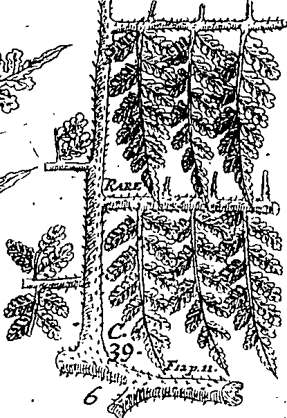 064/064340010201130_1.png