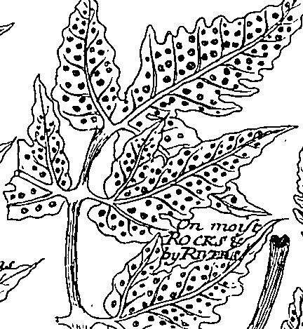 064/064340010201160_2.png