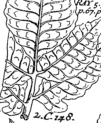 064/064340010201160_3.png