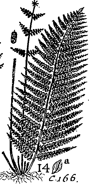 064/064340010201170_0.png
