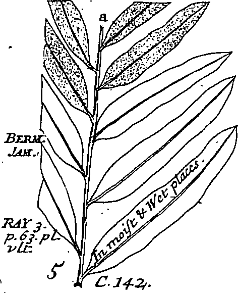 064/064340010201170_2.png