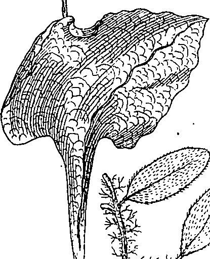 064/064340010201190_0.png