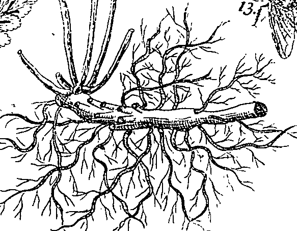 064/064340010201200_0.png