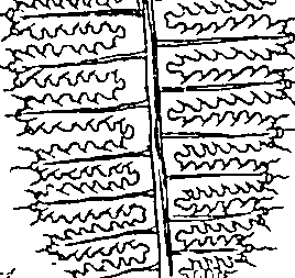 064/064340010201200_1.png