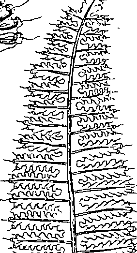 064/064340010201200_2.png