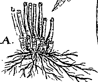 064/064340010201210_0.png