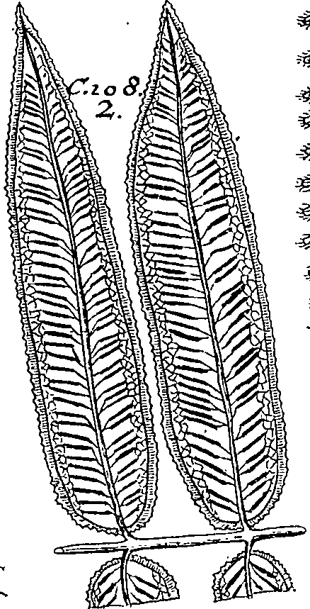 064/064340010201210_1.png