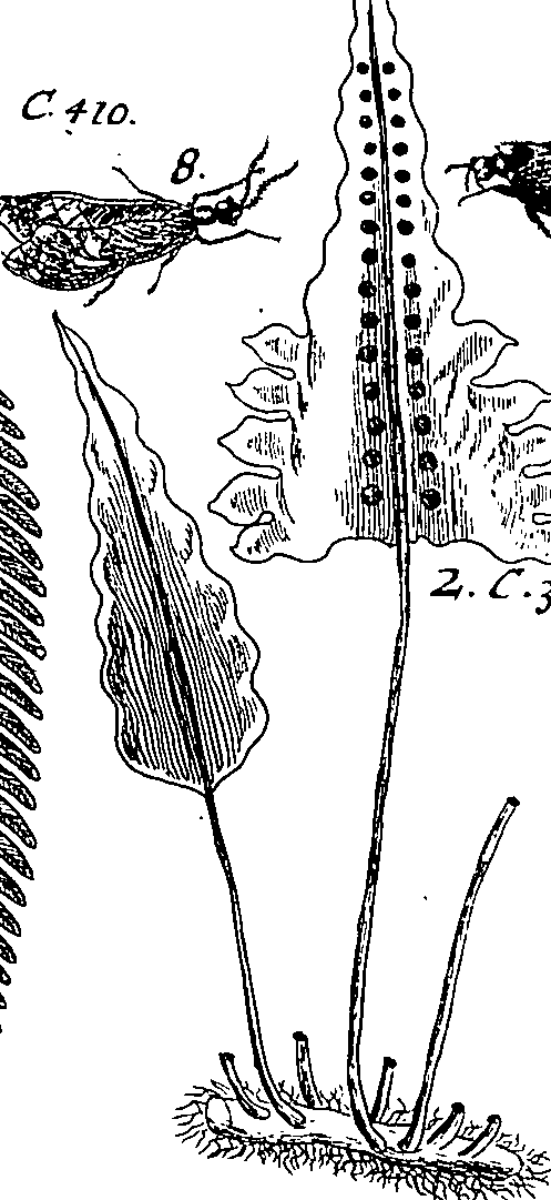064/064340010201230_2.png