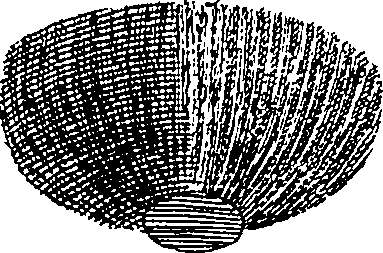 064/064340010201240_1.png