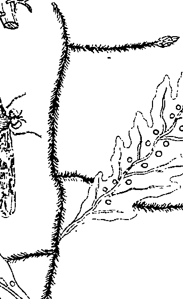 064/064340010201240_3.png