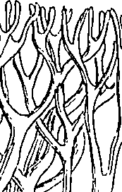 064/064340010201250_0.png
