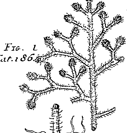 064/064340010201250_1.png