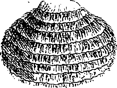 064/064340010201260_0.png