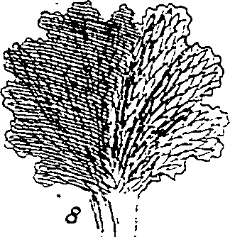 064/064340010201260_1.png