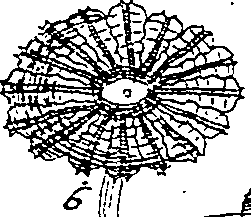 064/064340010201260_2.png