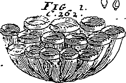 064/064340010201260_4.png