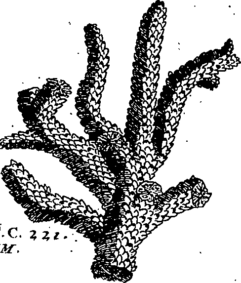 064/064340010201270_0.png