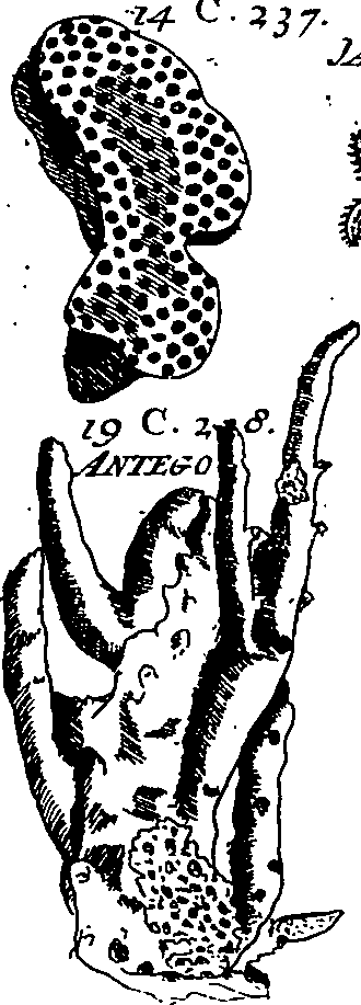064/064340010201270_1.png
