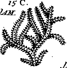 064/064340010201270_2.png
