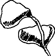 064/064340010201270_3.png