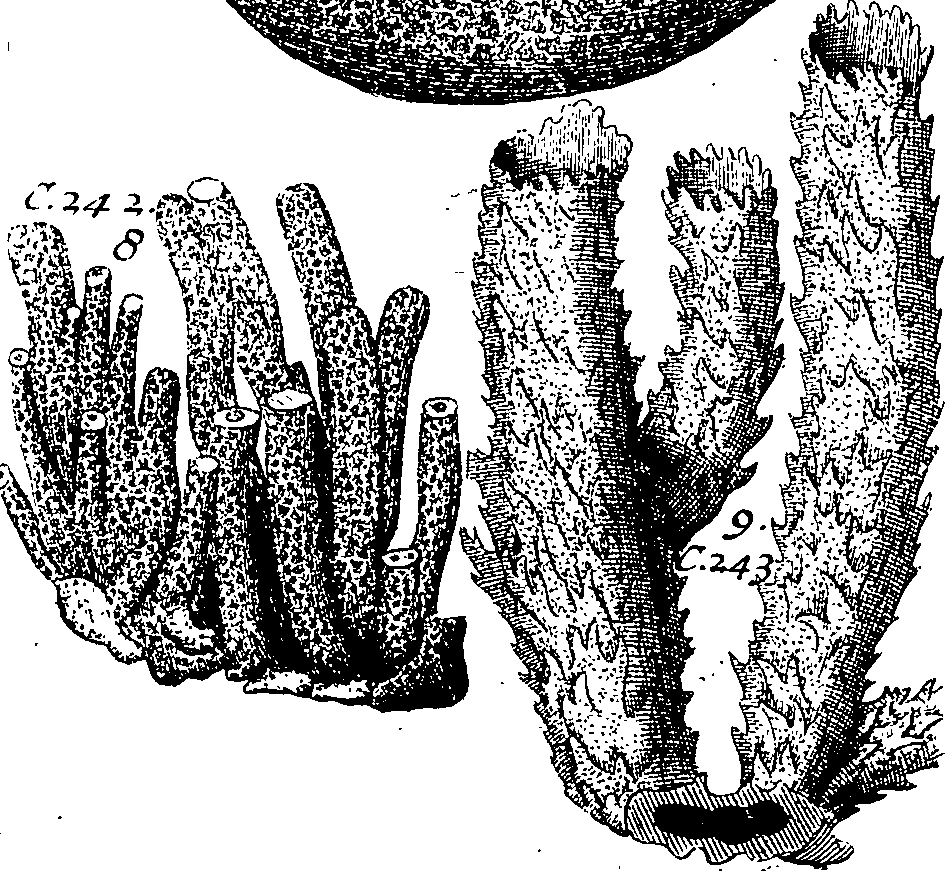 064/064340010201280_0.png