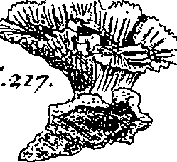 064/064340010201290_0.png