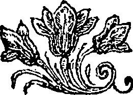 064/064340080000280_0.png