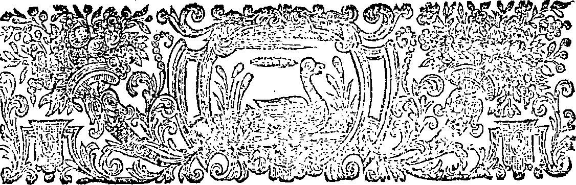 064/064460010203960_1.png