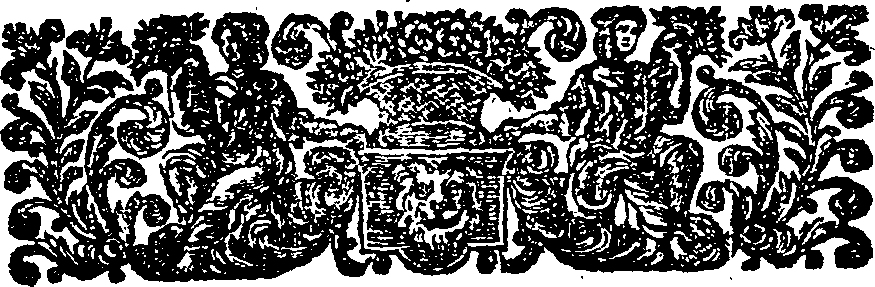 064/064550010000030_2.png