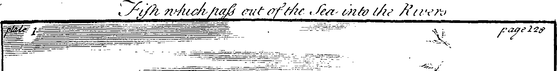 064/064550010001370_0.png