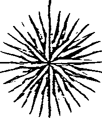 064/064580080000120_1.png