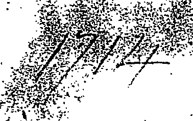 064/064600020000010_1.png