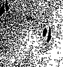 064/064600020000010_2.png