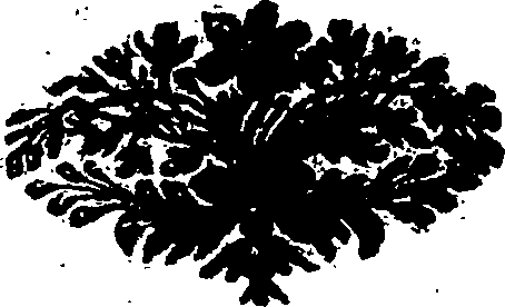 064/064620010000010_0.png