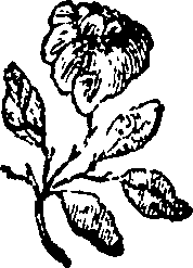 064/064700020200900_0.png