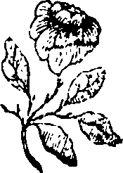 064/064700020200910_0.png