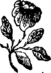 064/064700020201060_0.png