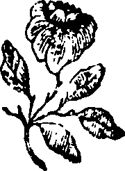 064/064700020201070_0.png