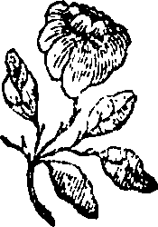 064/064700020201340_0.png