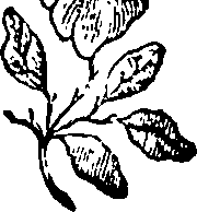 064/064700020201410_0.png
