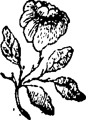 064/064700020201500_0.png