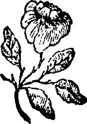 064/064700020201540_0.png