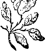 064/064700020201830_0.png