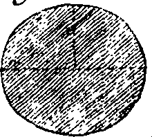 064/064720010001310_1.png