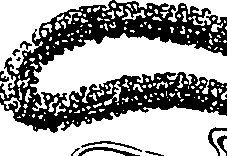 064/064730010101630_0.png