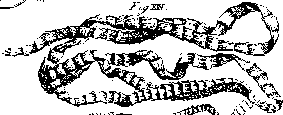 064/064730010201850_0.png