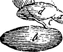 064/064730010201850_1.png