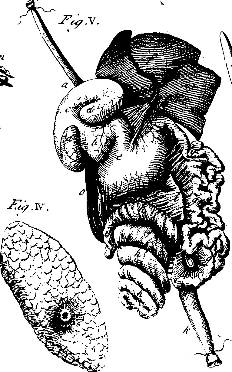 064/064730010202300_0.png